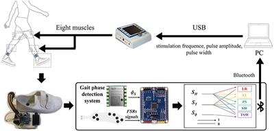 An adaptive reflexive control strategy for walking assistance system based on functional electrical stimulation